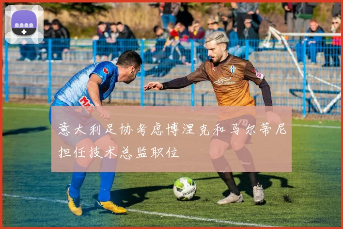 意大利足协考虑博涅克和马尔蒂尼担任技术总监职位